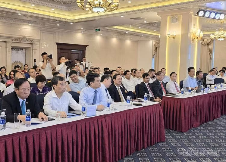 Các đại biểu tham dự hội nghị