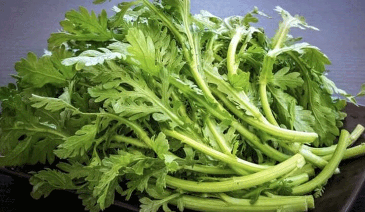 Những người tuyệt đối không nên ăn rau cải cúc kẻo mang bệnh vào người - Ảnh minh họa