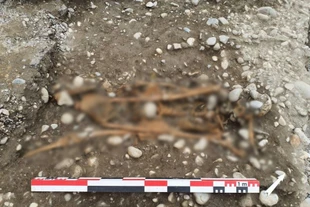 Khai quật hài cốt tại Grenoble hé lộ hình phạt công khai từ thế kỷ 16