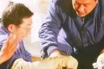 Phát hiện thi thể nghìn năm tuổi với dấu ngọc bích trong miệng 