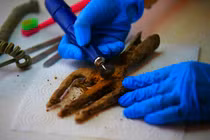 Cây đinh ba kỳ dị 1.700 năm tuổi được phát hiện gây sửng sốt
