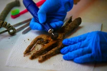 Cây đinh ba kỳ dị 1.700 năm tuổi được phát hiện gây sửng sốt
