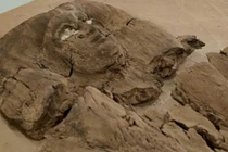 Tận mục khuôn mặt công chúa Ai Cập 4.000 năm tuổi