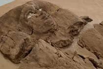 Tận mục khuôn mặt công chúa Ai Cập 4.000 năm tuổi