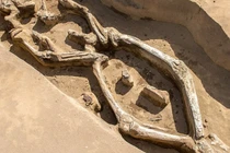 Khám phá bộ hài cốt 1.300 năm tuổi kỳ lạ ở Siberia