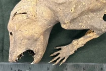 Xác ướp quái vật có bàn tay người khiến thế giới kinh ngạc