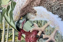 Phát hiện hóa thạch đại bàng cổ đại khiến khoa học sửng sốt