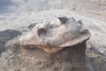 Sự thật rùng mình về chiếc đầu lâu sói chôn nổi 