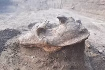 Sự thật rùng mình về chiếc đầu lâu sói chôn nổi 