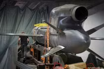 Tên lửa hành trình Flamingo