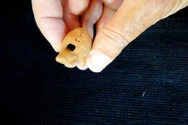 Sự thật về chiếc còi 2.000 năm tuổi 