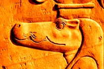 Rùng mình phát hiện 9 đầu cá sấu trong mộ cổ Ai Cập