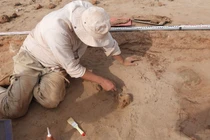 Phát hiện nơi chôn cất khỉ ở Thành phố Cháy của Iran 