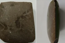 Người làm vườn tìm thấy mảnh rìu cổ đại 4.500 năm tuổi ở Ba Lan