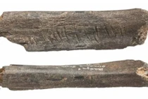 Phát hiện xương gấu tiền sử mang dấu ấn nghệ thuật của người Neanderthal