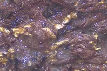 Phát hiện mộ cổ 2.000 năm với vải tím vàng hiếm có