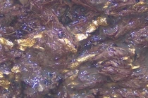 Phát hiện mộ cổ 2.000 năm với vải tím vàng hiếm có