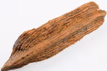 Thuyền đồ chơi trẻ em 1.000 năm tuổi bất ngờ lộ diện