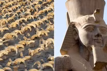 Tìm được 2.000 đầu cừu tại đền thờ Ramses II hé lộ bí mật cổ xưa