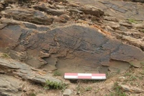 Di chỉ Dawenkou hé lộ bí ẩn về xã hội cổ đại Trung Quốc