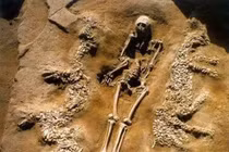 Khám phá lăng mộ cổ chứa họa tiết rồng phượng tại Trung Quốc