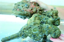 Bí ẩn súng lục Nữ hoàng Anne trong vụ đắm tàu cổ