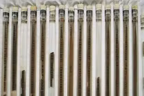 Mảnh tre cổ bị thất lạc suốt nghìn năm 