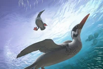 Sốc nặng sự thật về loài chim nước đầu tiên trên Trái Đất 