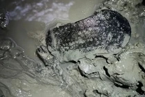 Vén màn bí ẩn chiếc dép La Mã 2.000 năm tuổi 