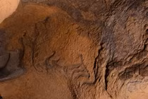 Phát hiện tranh hang động 14.000 năm tuổi ở Tây Ban Nha