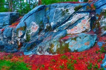 Tảng đá cổ hé lộ những bức tranh bí ẩn nghìn năm tuổi