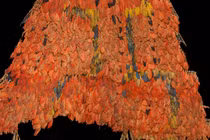 Phát hiện áo choàng lông vũ thế kỷ 16 hiếm nhất thế giới