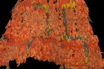 Phát hiện áo choàng lông vũ thế kỷ 16 hiếm nhất thế giới