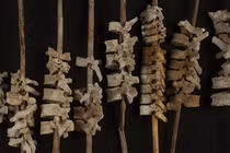 Bí ẩn hàng trăm đốt sống người xâu chuỗi trên cọc sậy 