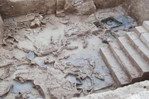 Bí ẩn về các con ngựa trong lễ tế Thời Kỳ Đồ Sắt ở Tây Ban Nha