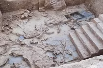 Bí ẩn về các con ngựa trong lễ tế Thời Kỳ Đồ Sắt ở Tây Ban Nha