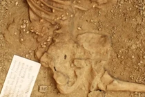 Giật mình hài cốt 7.000 năm tuổi khoác trang phục vỏ sò, răng hươu đỏ