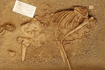 Giật mình hài cốt 7.000 năm tuổi khoác trang phục vỏ sò, răng hươu đỏ