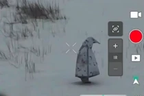 Binh sĩ Nga dùng bộ đồ ngụy trang "Chim cánh cụt" ở tiền tuyến