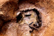 Bí ẩn đứa trẻ chôn cùng 142 con chó ở Ai Cập 