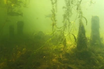 Phát hiện cổ vật 10.000 năm tuổi tại hồ Biwa Nhật Bản