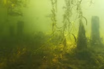 Phát hiện cổ vật 10.000 năm tuổi tại hồ Biwa Nhật Bản