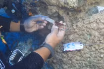 Phát hiện dao găm đồng 3.600 năm tuổi trong xác tàu đắm bí ẩn