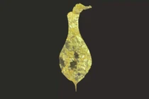 Phát hiện bất ngờ tại pháo đài La Mã cổ Gonio-Apsaros