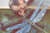 Tận mục loài côn trùng lớn nhất từng tồn tại trên Trái Đất