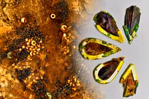 Phát hiện kho báu trong lăng mộ công chúa Silla cổ đại