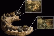Phát hiện bộ xương Homo habilis hơn 2 triệu năm tuổi tại Kenya