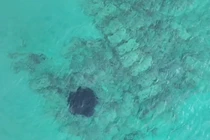 Phát hiện bức tường đá chìm bao quanh thành phố cổ 