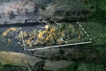 Hé lộ rương vũ khí Trung cổ gây chấn động từ xác tàu đắm