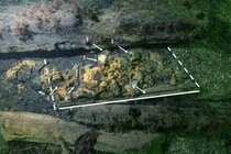 Hé lộ rương vũ khí Trung cổ gây chấn động từ xác tàu đắm